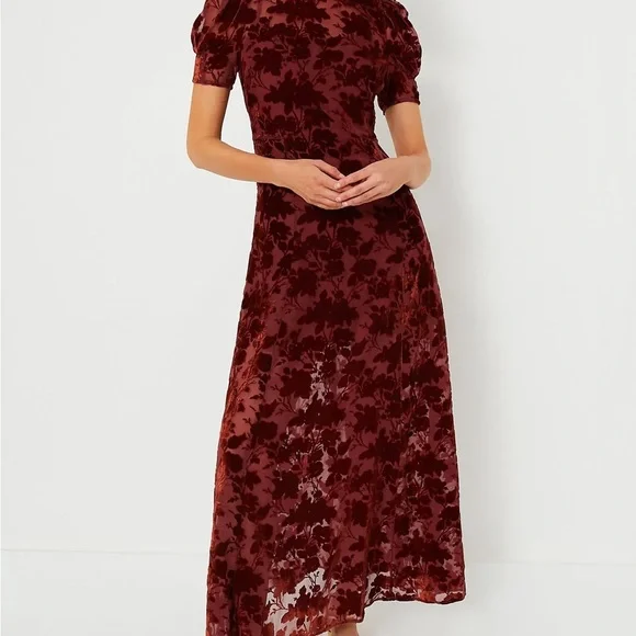 Copper Floral Ralph Velvet Dress - Picture 2 of 8